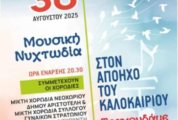 Μουσική Νυχτωδία – Στον Απόηχο του Καλοκαιριού
