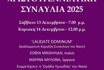 Χριστουγεννιάτικη Συναυλία 2025